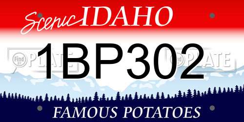 1BP302 Idaho License Plate