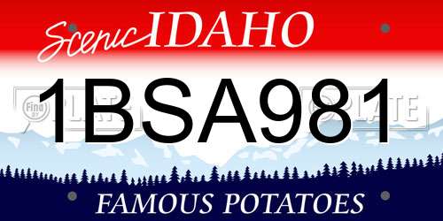 1BSA981 Idaho License Plate