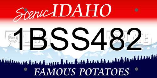 1BSS482 Idaho License Plate