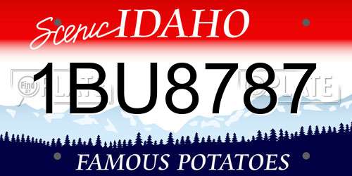 1BU8787 Idaho License Plate