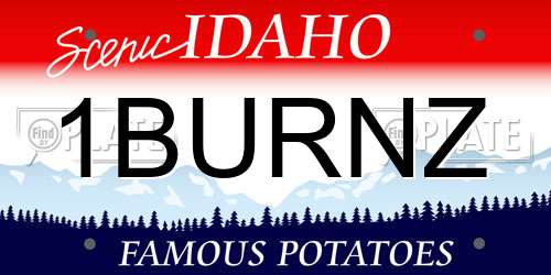 1BURNZ Idaho License Plate