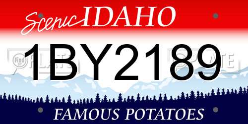1BY2189 Idaho License Plate