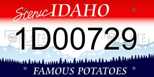 1D00729 Idaho License Plate