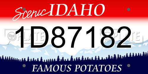 1D87182 Idaho License Plate