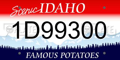 1D99300 Idaho License Plate