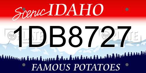 1DB8727 Idaho License Plate