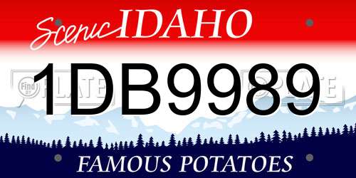 1DB9989 Idaho License Plate