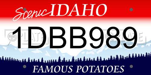 1DBB989 Idaho License Plate