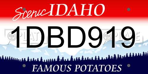 1DBD919 Idaho License Plate