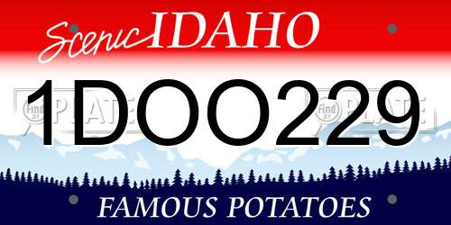 1DOO229 Idaho License Plate