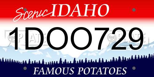 1DOO729 Idaho License Plate