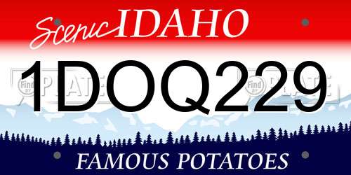 1DOQ229 Idaho License Plate