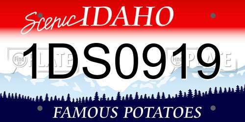 1DS0919 Idaho License Plate