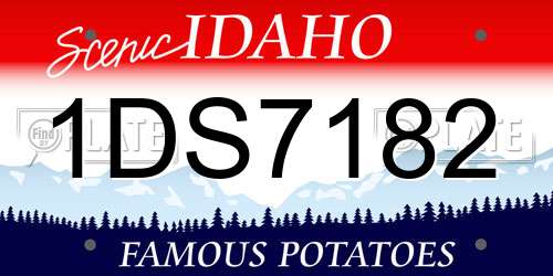 1DS7182 Idaho License Plate