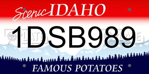 1DSB989 Idaho License Plate