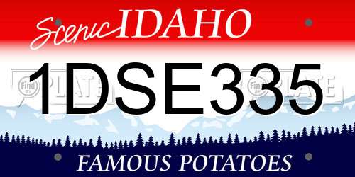 1DSE335 Idaho License Plate