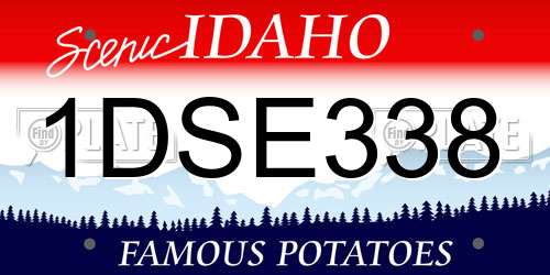 1DSE338 Idaho License Plate