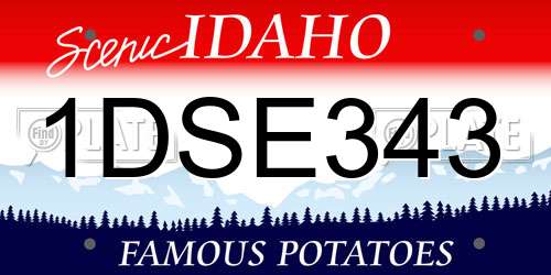 1DSE343 Idaho License Plate