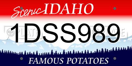 1DSS989 Idaho License Plate