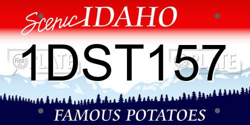 1DST157 Idaho License Plate