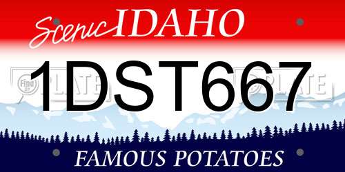 1DST667 Idaho License Plate