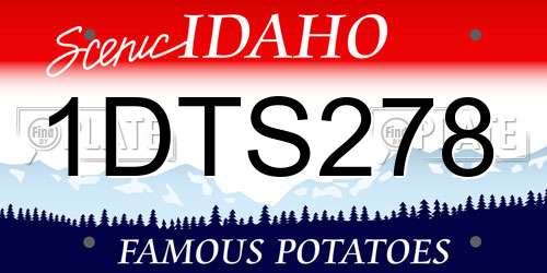 1DTS278 Idaho License Plate
