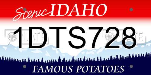 1DTS728 Idaho License Plate