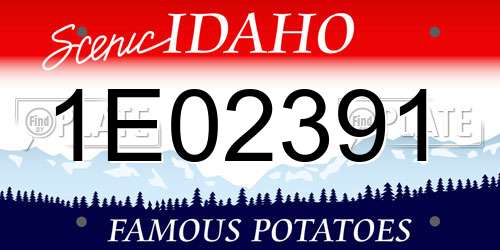 1E02391 Idaho License Plate