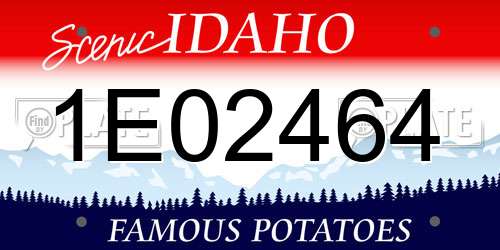 1E02464 Idaho License Plate