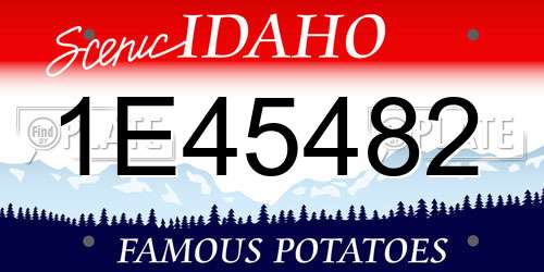 1E45482 Idaho License Plate