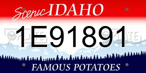 1E91891 Idaho License Plate