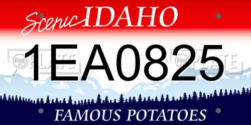 1EA0825 Idaho License Plate