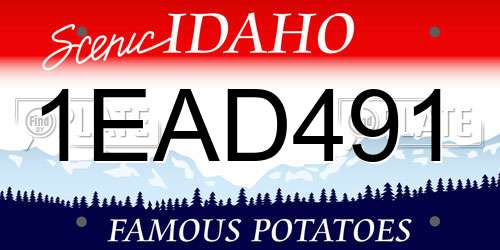 1EAD491 Idaho License Plate