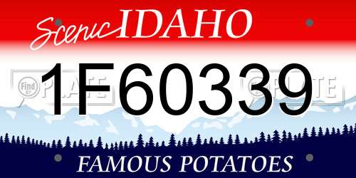 1F60339 Idaho License Plate
