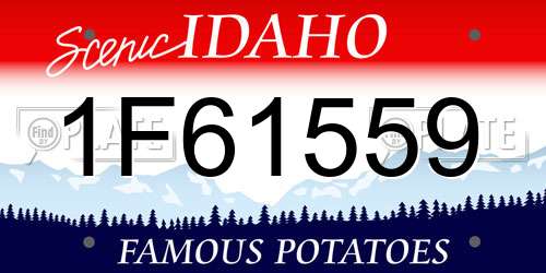1F61559 Idaho License Plate