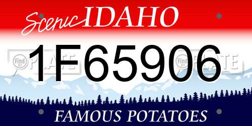 1F65906 Idaho License Plate