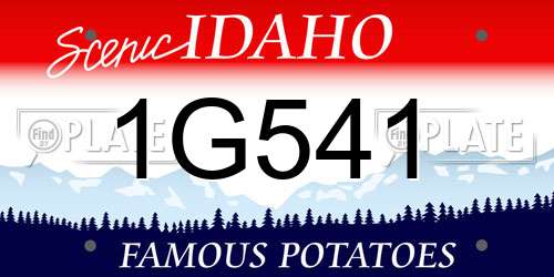1G541 Idaho License Plate