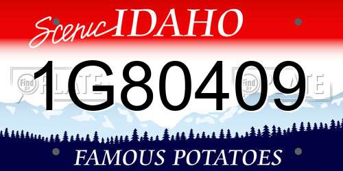 1G80409 Idaho License Plate