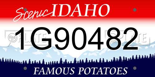 1G90482 Idaho License Plate