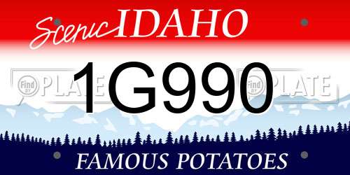 1G990 Idaho License Plate