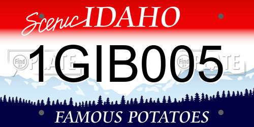 1GIB005 Idaho License Plate