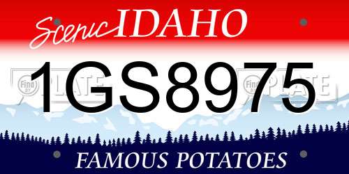1GS8975 Idaho License Plate