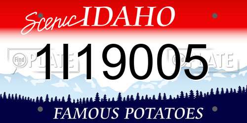 1I19005 Idaho License Plate