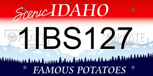 1IBS127 Idaho License Plate