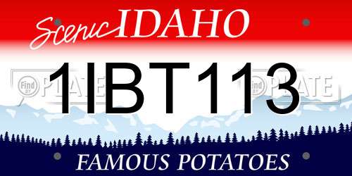 1IBT113 Idaho License Plate