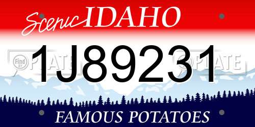 1J89231 Idaho License Plate