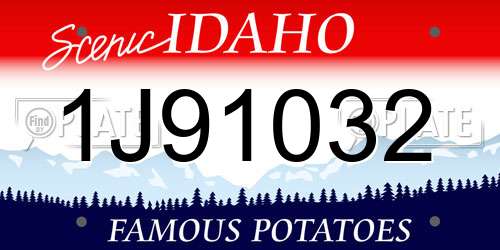 1J91032 Idaho License Plate
