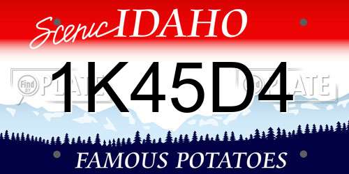 1K45D4 Idaho License Plate