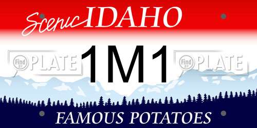 1M1 Idaho License Plate