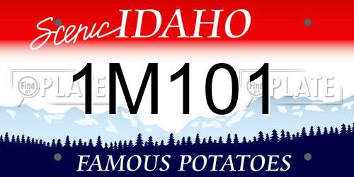 1M101 Idaho License Plate